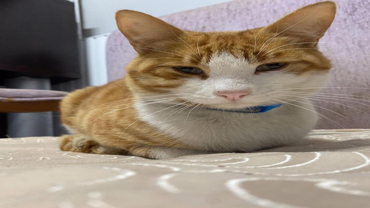 אנטליה Cityhub מראה חיצוני תמונה